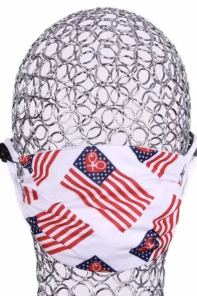 Two Pack Handmade Face Masks American Flag
